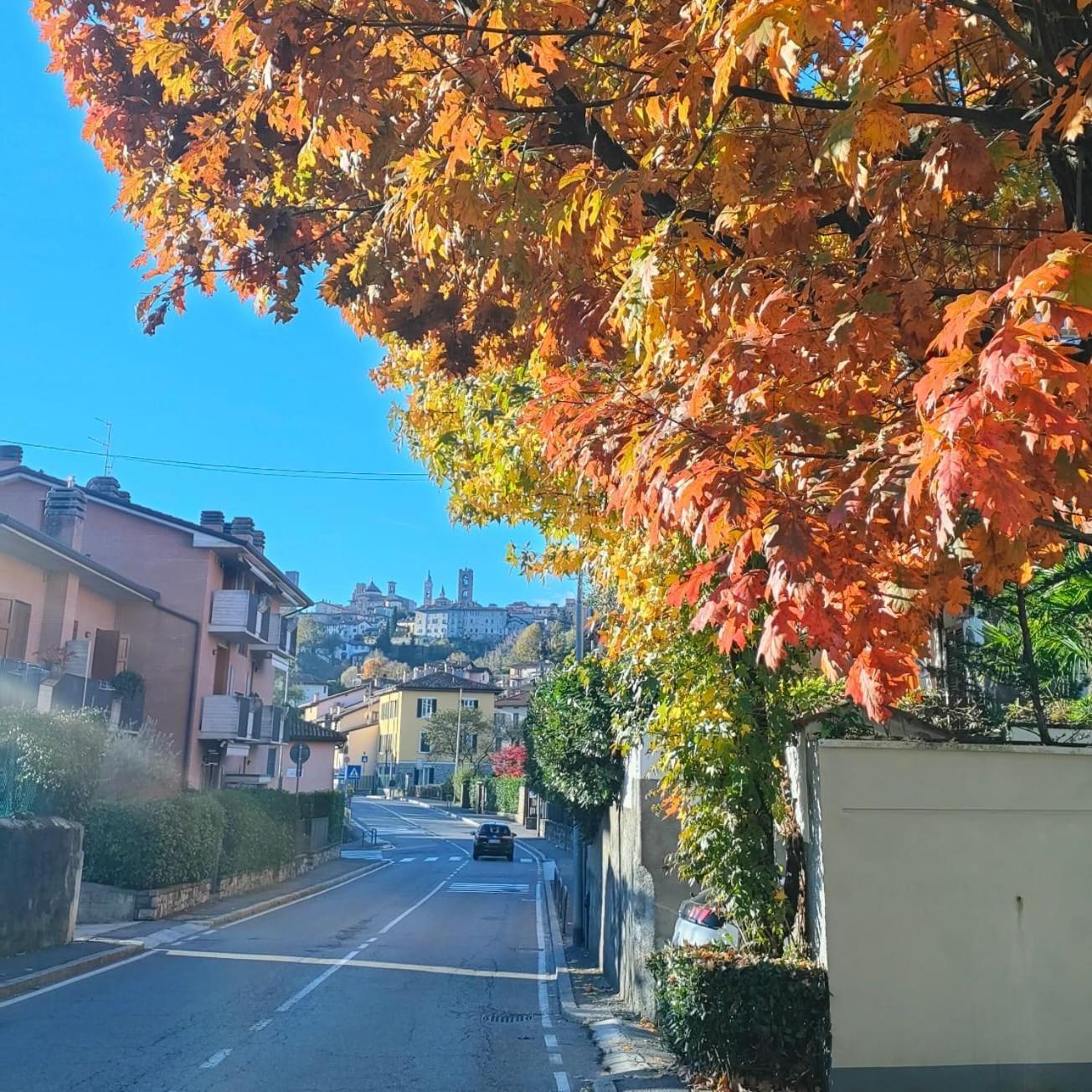 Nelly Bergamo Apartments Exteriér fotografie